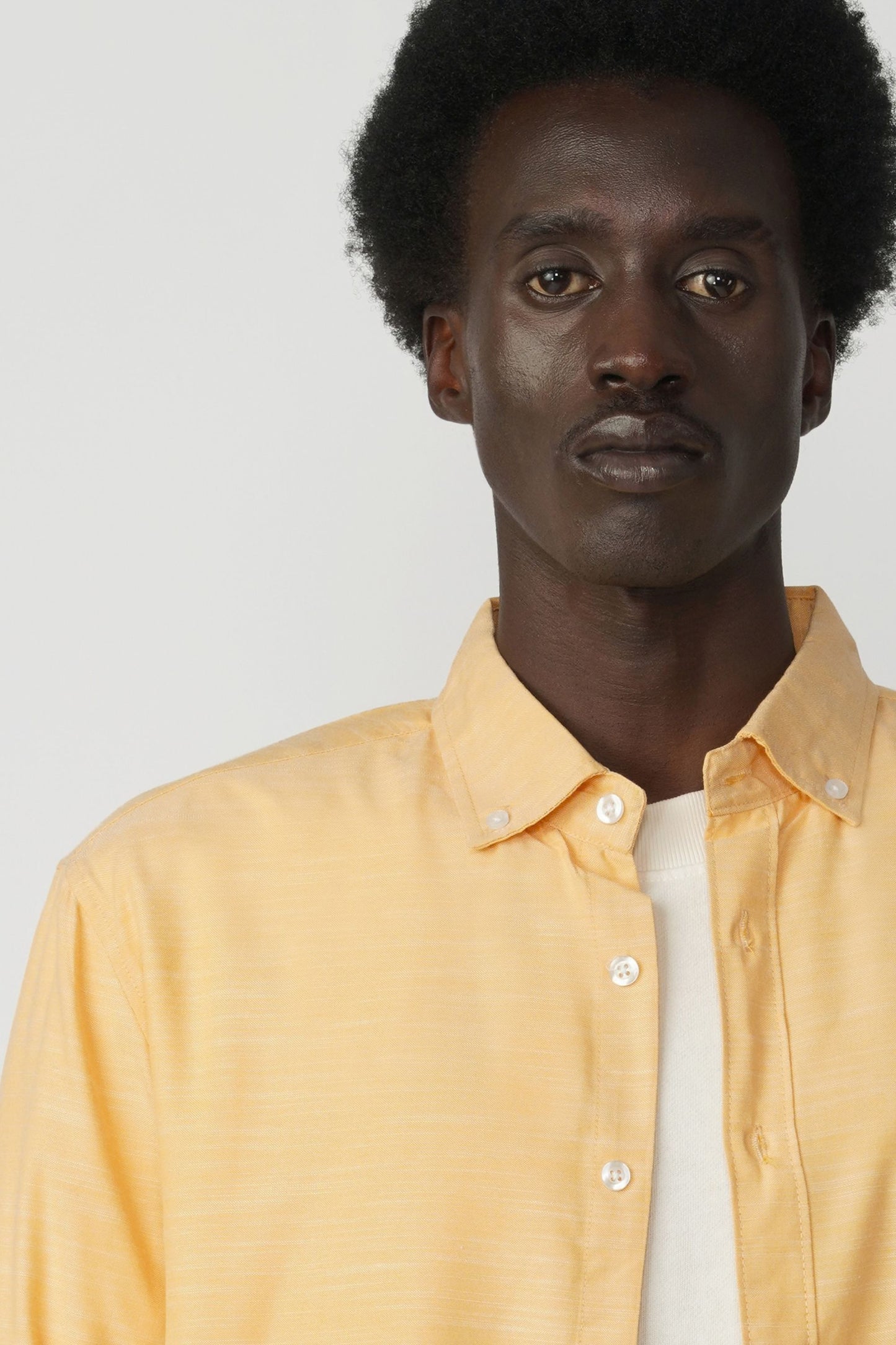 OXFORD COTTON BUTTON DOWN SHIRT